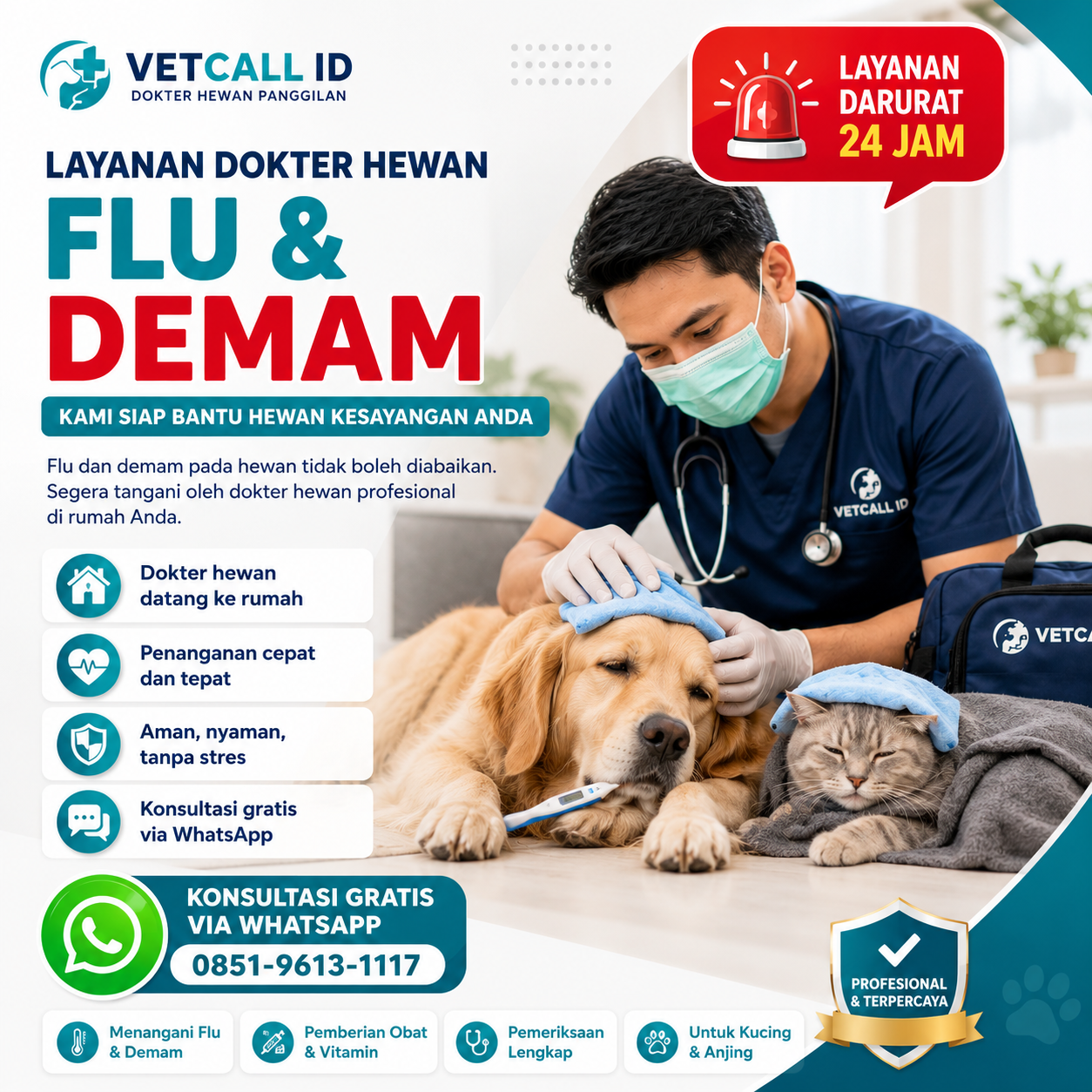 Flu dan Demam pada Kucing dan Anjing Vetcall ID
