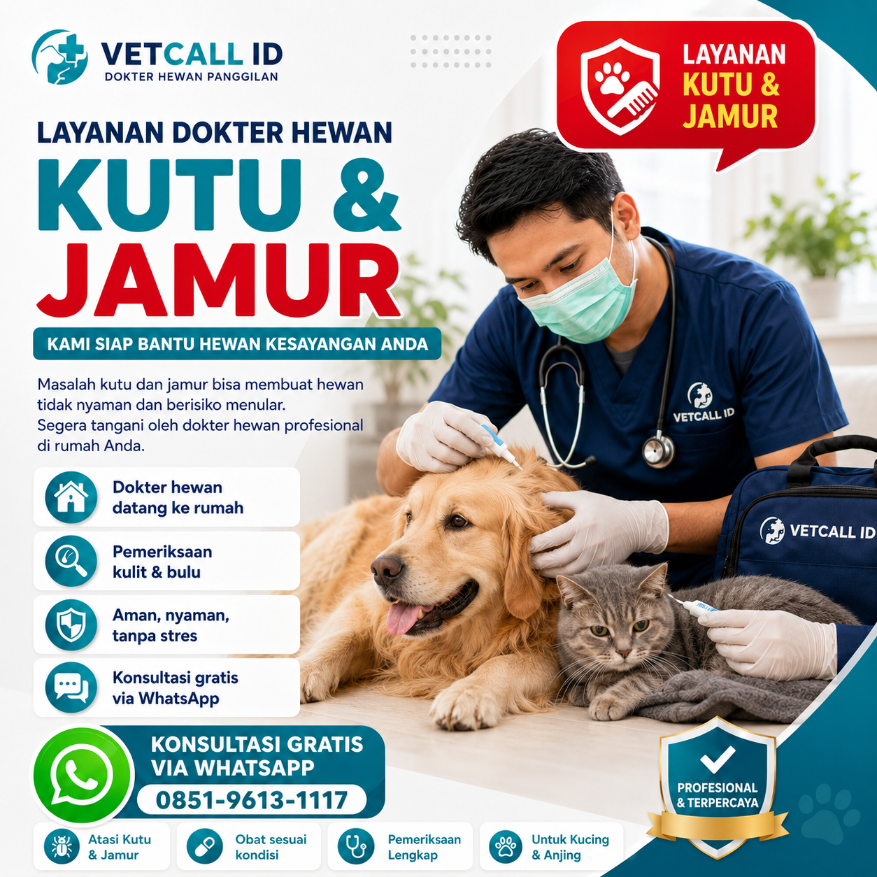 Kutu & Jamur pada Kucing dan Anjing Vetcall ID